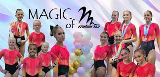 Image result for Stockport School Of Gymnastics