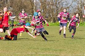 Image result for Shelford Rugby Club