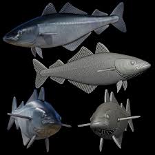 Image result for Pollachius virens