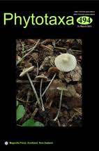 Attēlu rezultāti vaicājumam “Didymiaceae”