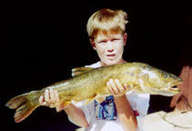 Image result for Ptychocheilus grandis