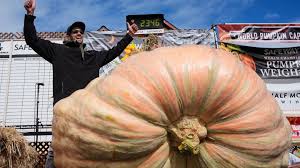 Image result for Kürbis