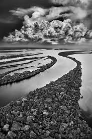Image result for sebastiao salgado