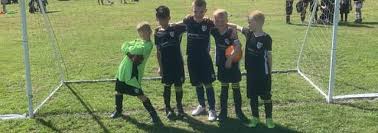 Image result for Vale Of Aylesbury Athletics Club