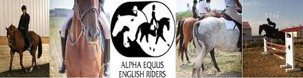 Image result for East Flegg Riding Club