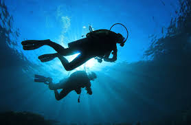 Image result for Southampton University Sub-Aqua Club