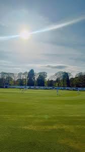 Image result for Nelson Cc