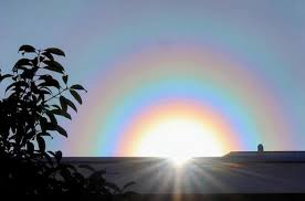 Attēlu rezultāti vaicājumam “pollen corona”