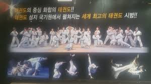 Image result for Bristol Taekwondo School