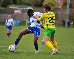 Image result for Haywards Heath Town Ladies Football Club