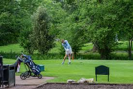 Image result for Clandon Regis Golf Club Ltd