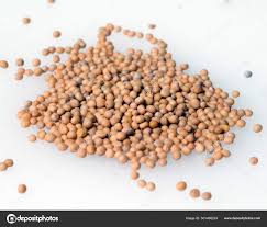 Attēlu rezultāti vaicājumam “Sinapis arvensis fruit”