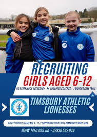 Image result for Timsbury Athletic Youth FC