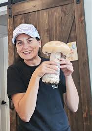 Image result for macrocybe titans