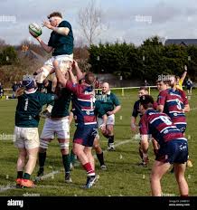 Image result for Old Patesians Rfc