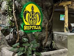 Attēlu rezultāti vaicājumam “Reptilia”