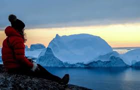 Image result for Ildblomkarse