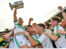 Image result for Shamrocks Hurling & Football Club