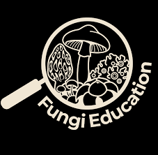 Attēlu rezultāti vaicājumam “fungi”