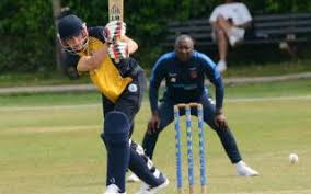 Image result for Basingstoke & North Hants Cricket Club