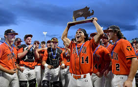 Image result for Taunton Muskets Baseball Club