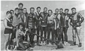 Image result for Great Western Divers