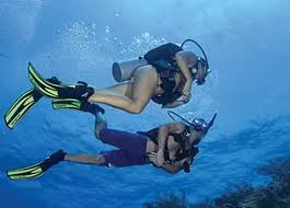 Image result for Seabug Divers