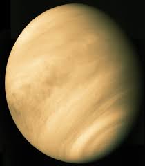 Image result for venus