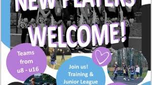 Image result for Fetcham Netball Club