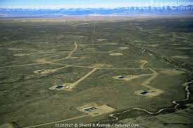 Image result for jonah gas field