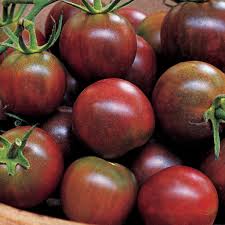 Afbeeldingsresultaat voor black cherry tomato