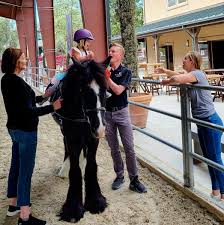 Image result for Shey Copse Riding Centre