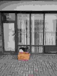 Image result for Scarborough Airsoft Club