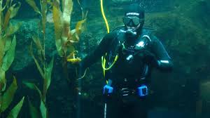 Image result for Dive Crew Scuba Diving