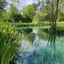 Image result for Guildford Angling Society