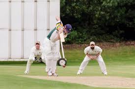 Image result for Old Vigornians Cricket Club