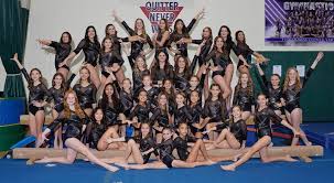 Image result for Tessaro Gymnastics Club