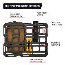 Image result for molle