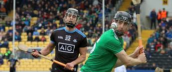 Image result for University Of Limerick Gaa Hurling Club