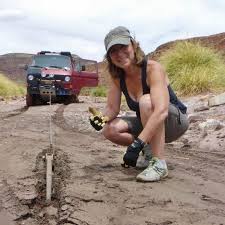 Resultado de imagen para PULL PAL