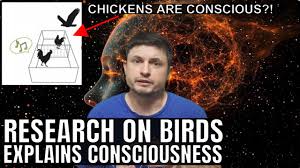 Image result for consciousness