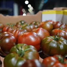 Afbeeldingsresultaat voor black oxheart tomato