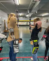 Image result for Silver Arrow Archery