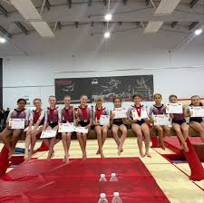 Image result for Hinckley Gymnastics Club