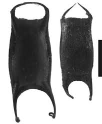 Image result for Bathyraja brachyurops