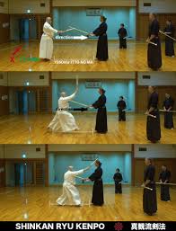 Image result for Kyoku Kenjutsu Kai