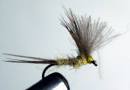 chevreuil, cul d
e canard olive ...
