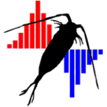 Image result for Chelon dumerili