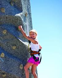 Image result for High Sports Climbing Wall