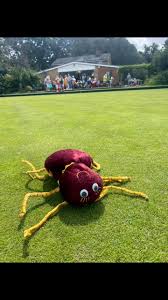Image result for Pelhams Bowls Club